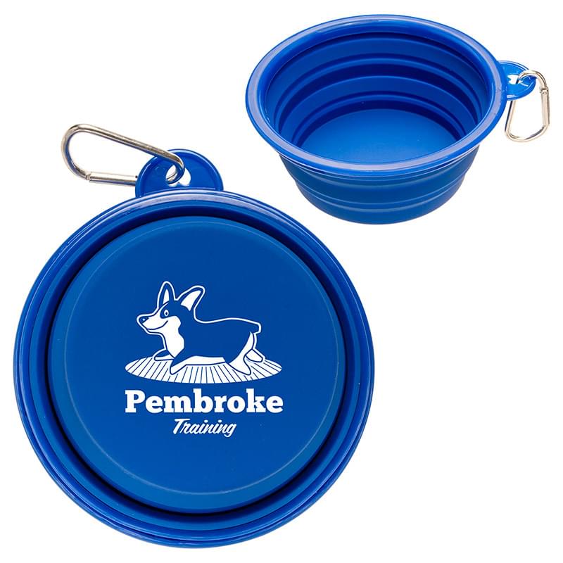 Feed 'N Go Collapsible Pet Bowl